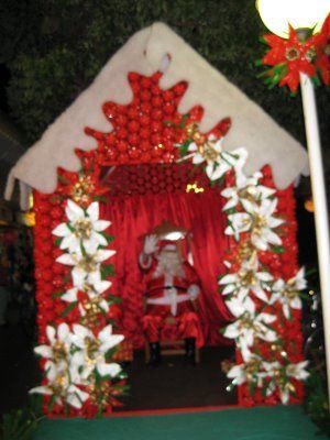Festas Natalinas